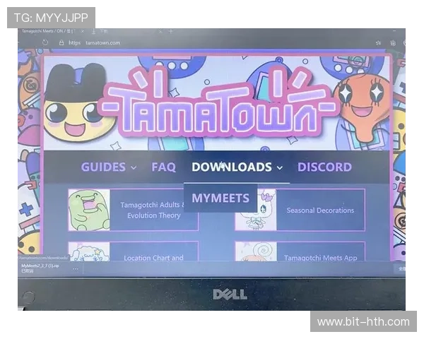 华体会体育旗舰厅下载官网最新版本下载安装流程详细指导带你轻松上手